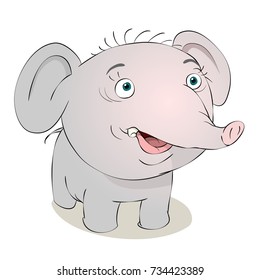 surprised baby elephant