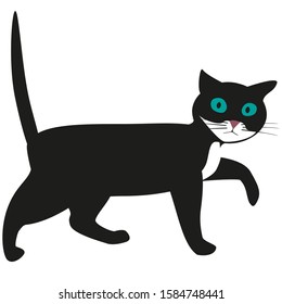 A surprised black cat on a white background.