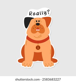 Surprised bulldog dog Sticker isolated background. Funny dog sticker and lettering Really. Humorous picture for decoration in social networks, web design, logo. Image of a bulldog.