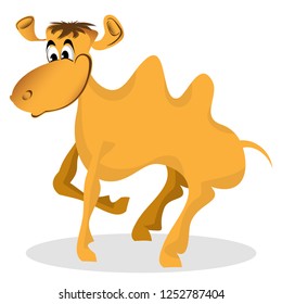 surprised camel on a white background. vector image
