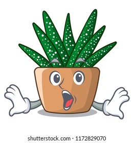 Surprised cartoon zebra cactus blooming in garden
