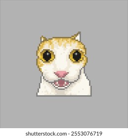 Surprised cat, animal meme pixel art