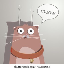 surprised cat. Cartoon style vector illustration