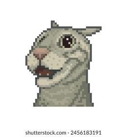 Surprised cat, pixel art meme