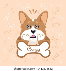 surprised Corgi dog with bone