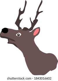 Surprised Deer Isolated Animal Vector