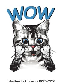 Surprised kitten and the slogan wow. Vector illustration.