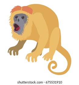 Surprised monkey icon. Cartoon illustration of surprised monkey vector icon for web isolated on white background