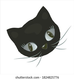 
Surprised, pensive, cute kitten face.
Vector isolated design on white background.