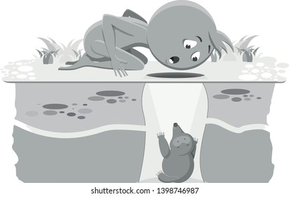 surprised people found the burrow of the mole