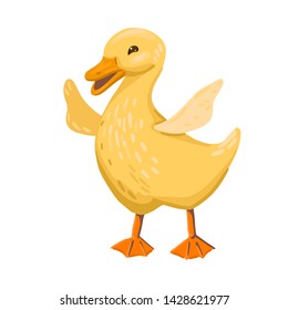 The surprised pet, the duck flaps its wings, learns to fly. Vector isolated character on white background. Cartoon flat style illustration.