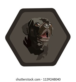 Surprised Pug vector