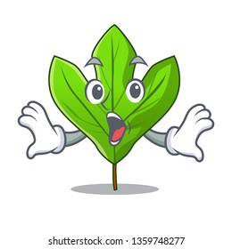Surprised sassafras leaf in the mascot pots
