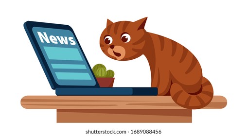A surprised and scared cat looks at newsletter in a laptop monitor