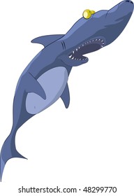The surprised shark