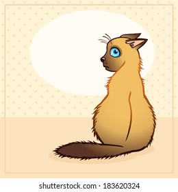 the surprised Siamese cat
