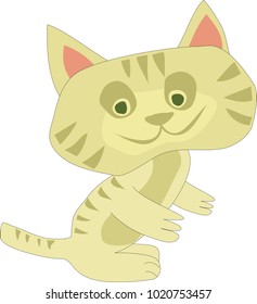 Surprised small cat vector illustration