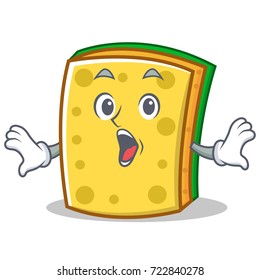 Surprised sponge cartoon character funny