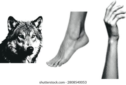 Surreal composition uniting wild animal essence with human anatomy rendered in a distinct halftone texture. Useful for graphic design or editorial projects.