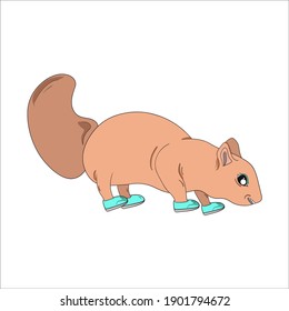 surreal squirrel animal vector illustration wearing fancy shoes modern simple flat color design funny illustration
