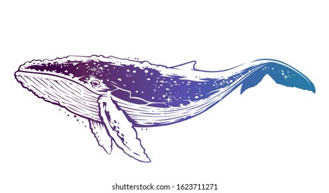 Surreal Vector Whale Art. Abstract Whale Shape With Stars Inside.