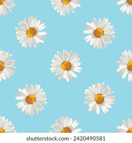 Surreal white daisy flower illustration seamless pattern on sky blue color wallpaper