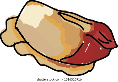 Surt clam, illustration, vector on white background.