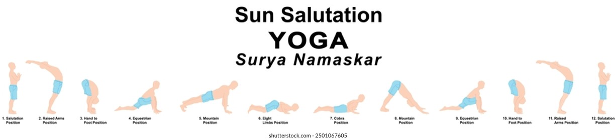 Surya Namaskar or sun salutation yoga morning exercises asanas poses with name vector illustration isolated on white background.