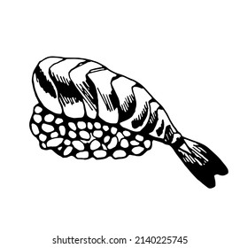 Sushi. Ilustración en blanco y negro. Vector clipart