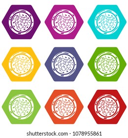Sushi caviar icons 9 set coloful isolated on white for web