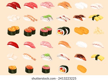 sushi food illustration japanese food delicious