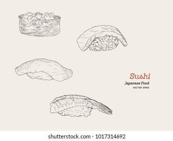 Sushi hand drawn illustration. Set of sketches Japanese food for menu of asian restaurant, brochures, flyers, posters, web sites