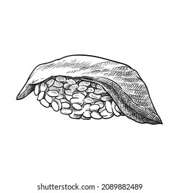Sushi with perch. Hand drawn vector illustration.