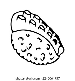 Sushi with seafood. Nigirizushi with octopus. Asian cuisine. Vector illustration isolated on white background