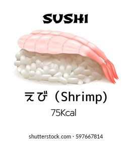Sushi shrimp nigiri close-up isolated on white background. Dietary meals with calorie content. Japan traditions vector objects in realistic style. Japanese hieroglyph shrimp.