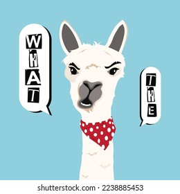 suspicious alpaca and asked what. Alpacas have handkerchiefs around their necks.