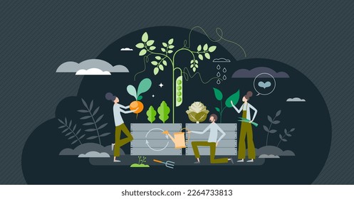 Sustainable agronomy as nature friendly and ecological gardening tiny person concept. Grow local food for eating vector illustration. Organic, clean from pesticides vegetables and greens harvest.