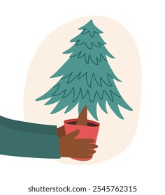 Sustainable Christmas concept. Human hands holding a potted Christmas tree. Eco-friendly Christmas. Christmas clipart.