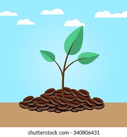 Sustainable coffee