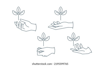 Sustainable ecologic environment concept. Hand holding plant. Linear vector illustration. 