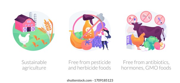 Sustainable organic agriculture abstract concept vector illustration set. Free from pesticide and herbicide, antibiotics hormones GMO food, farming process, ecology oriented growing abstract metaphor.