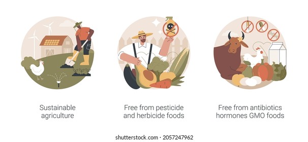 Sustainable organic agriculture abstract concept vector illustration set. Free from pesticide and herbicide, antibiotics hormones GMO food, farming process, ecology oriented growing abstract metaphor.