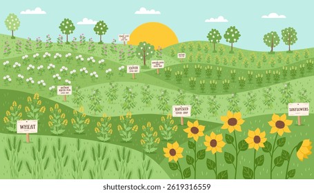 Sustainable and regenerative farming concept banner. Gardening nature landscape. Fields with different types of cover crops. Vector hand drawn flat background.