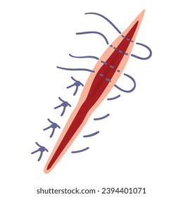 Suture care forceps icon cartoon vector. Cutis médica de salud. Cortar la piel