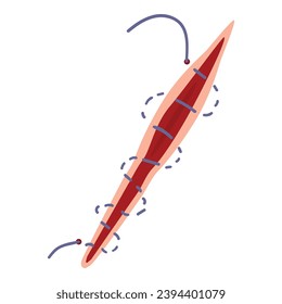 Suture scalpel tool icon cartoon vector. Medical incision. Injury doctor tool