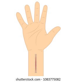 suture vector. free space for text. wallpaper. background. hand vector.