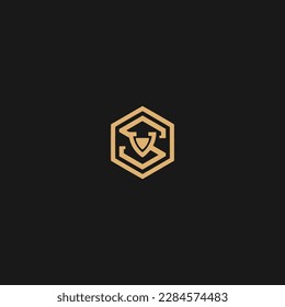 SV Diseño de letra de polígono logotipo logotipo concepto de icono con estilo elegante clásico de imagen vectorial.

