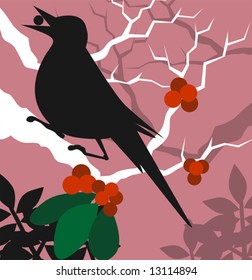 swallow