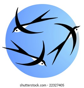  swallow