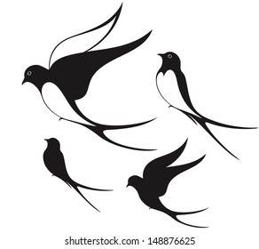 Swallow. Abstract birds on white background. Vector 